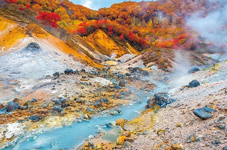 <札幌駅・大谷地・新札幌発/祝いの宿 登別グランドホテル>登別温泉 年末年始宿泊 3日間 往復バス+ゆったり宿泊2連泊+添乗員同行!1